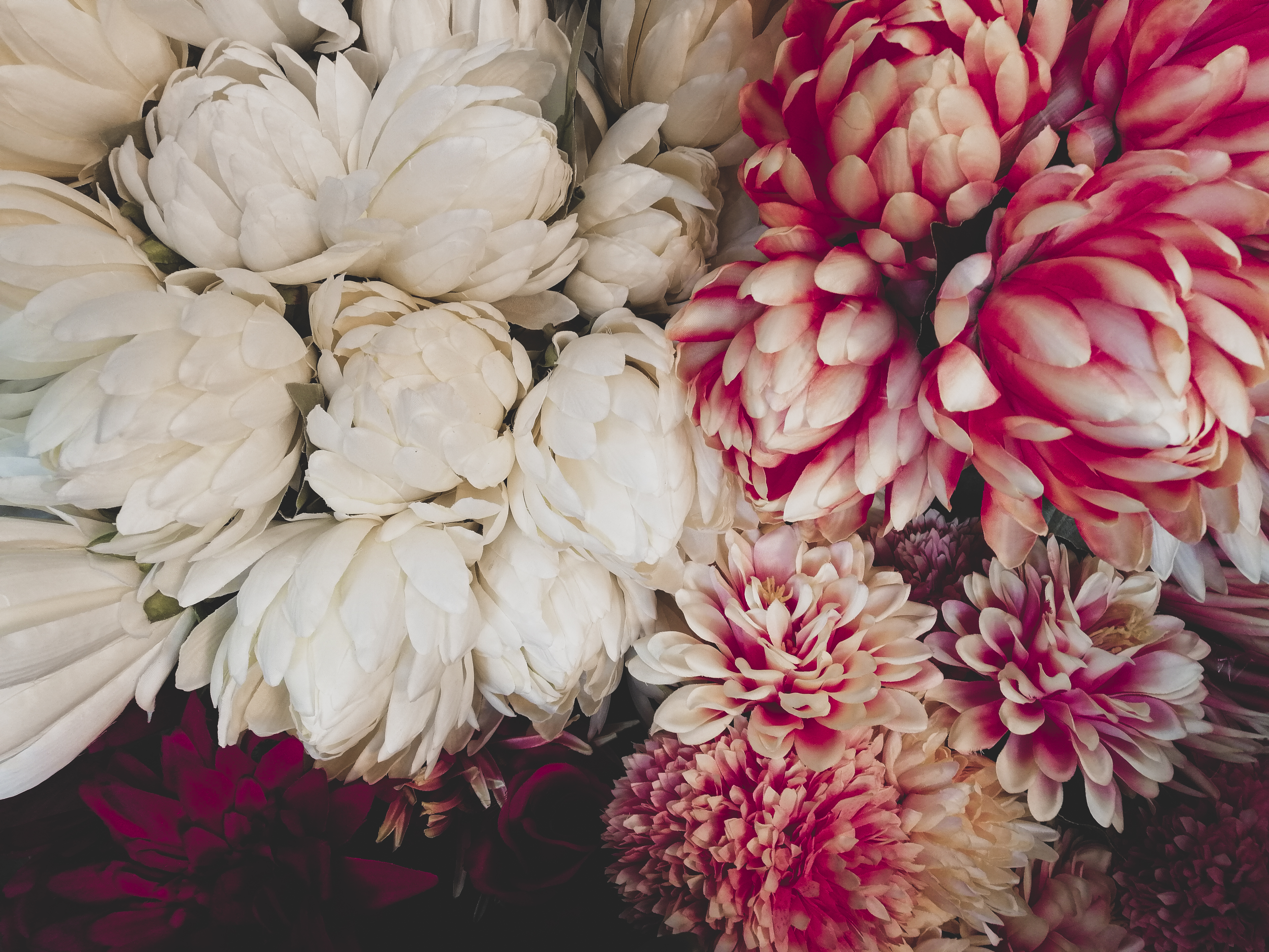 Banner 02