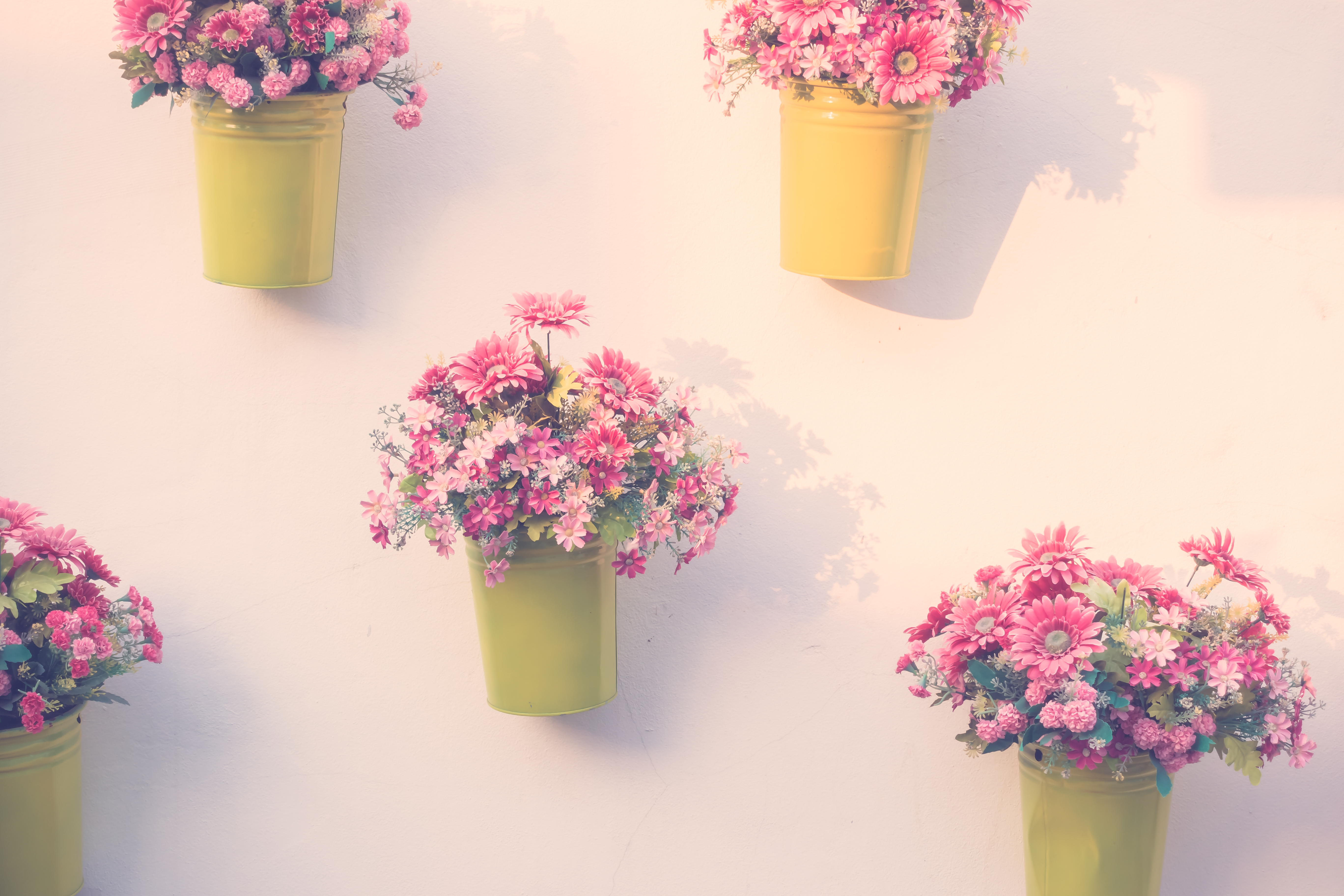 Banner 03